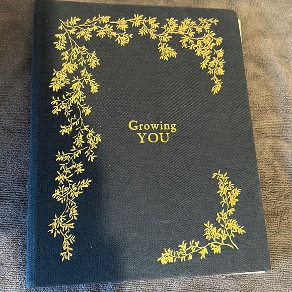 Brandnew beautiful pregnancy journal. - Picture 2 of 4